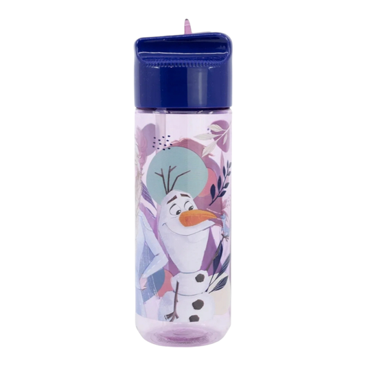 Gourde Hydro Ecozen - La Reine des Neiges Disney - Stor Stor