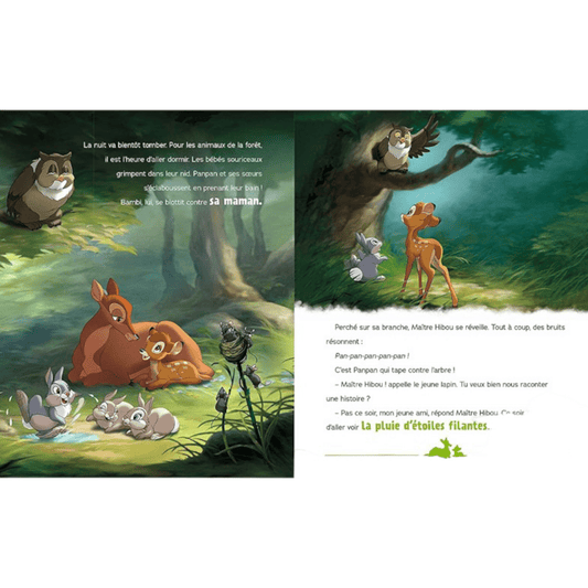 Livre - Histoires à lire avec ma maman - Disney - Hachette Jeunesse J'M T Crea