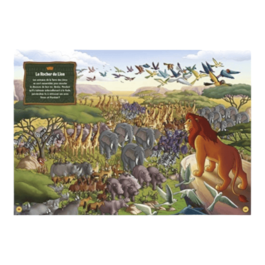 Livre - Où se cachent les héros ? - Cherche et trouve - Disney - Hachette Jeunesse J'M T Créa