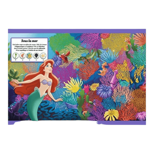 Livre - Où se cachent les princesses ? - Cherche et trouve - Disney - Hachette Jeunesse J'M T Créa