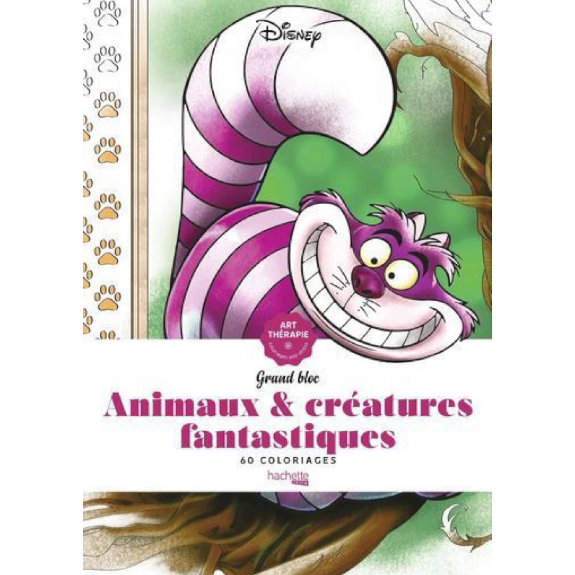 Grand bloc de coloriages Disney - Animaux et créatures fantastiques - Coloriages Art Thérapie - Hachette Heroes J'M T Créa