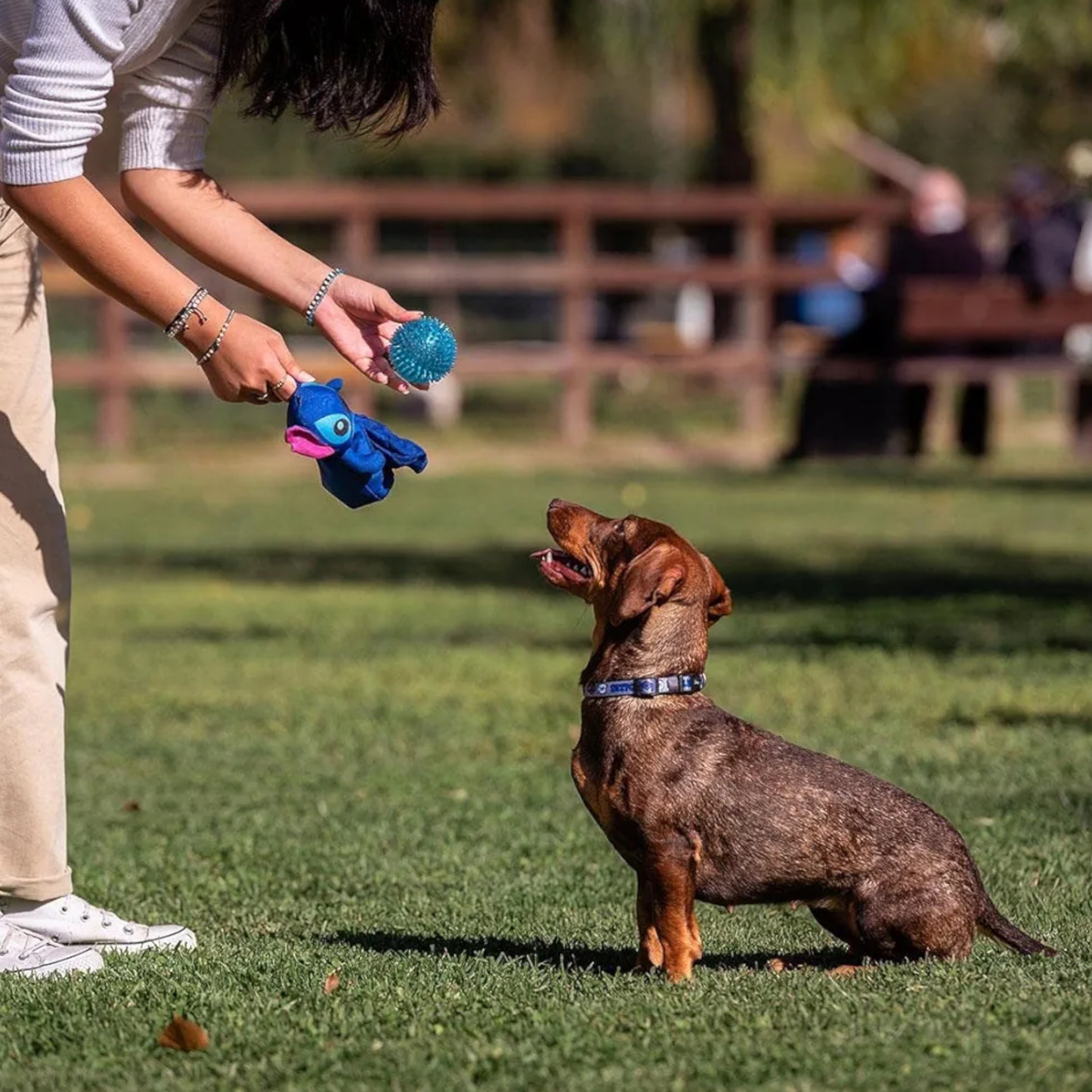 Jouet pour chien peluche et balle à picot - Stitch - Disney - Cerdà J'M T Créa