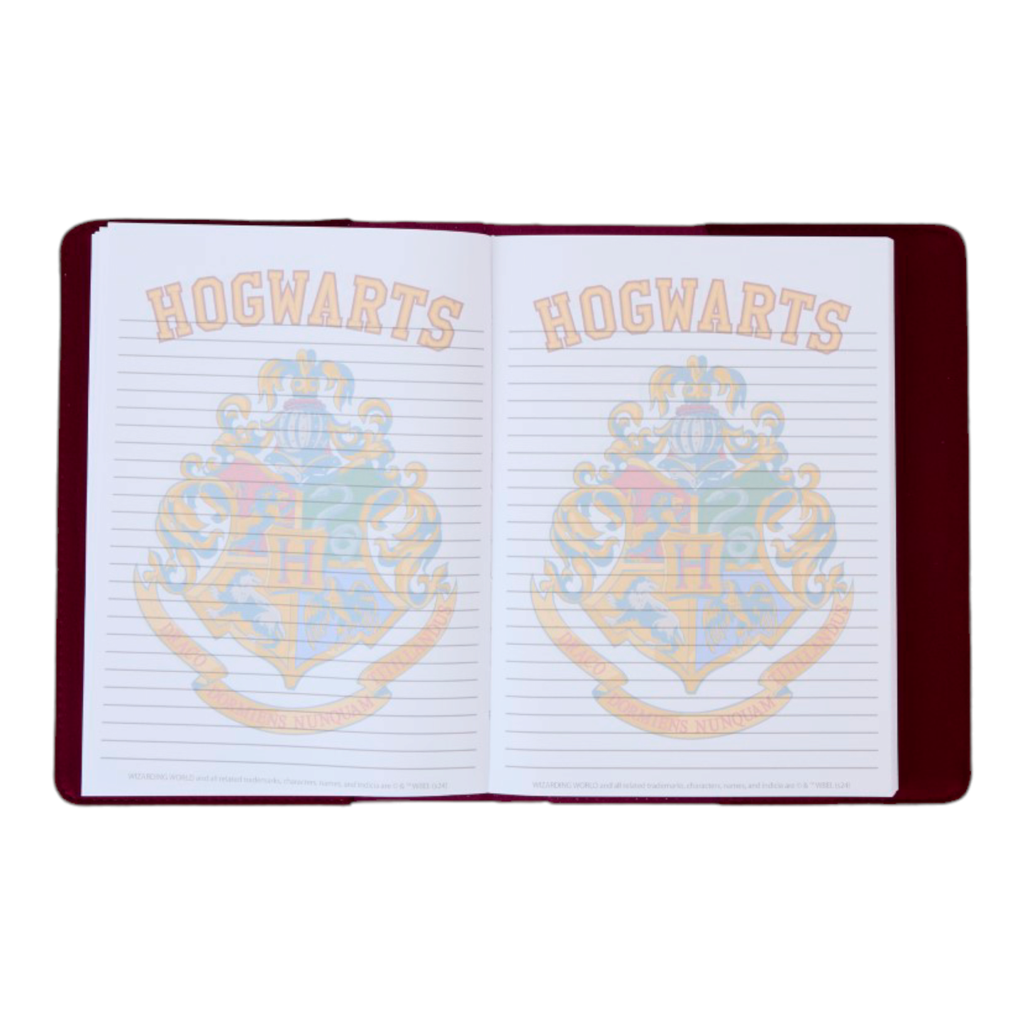 Journal - Notebook Hogwarts Quidditch - Harry Potter - Loungefly J'M T Créa