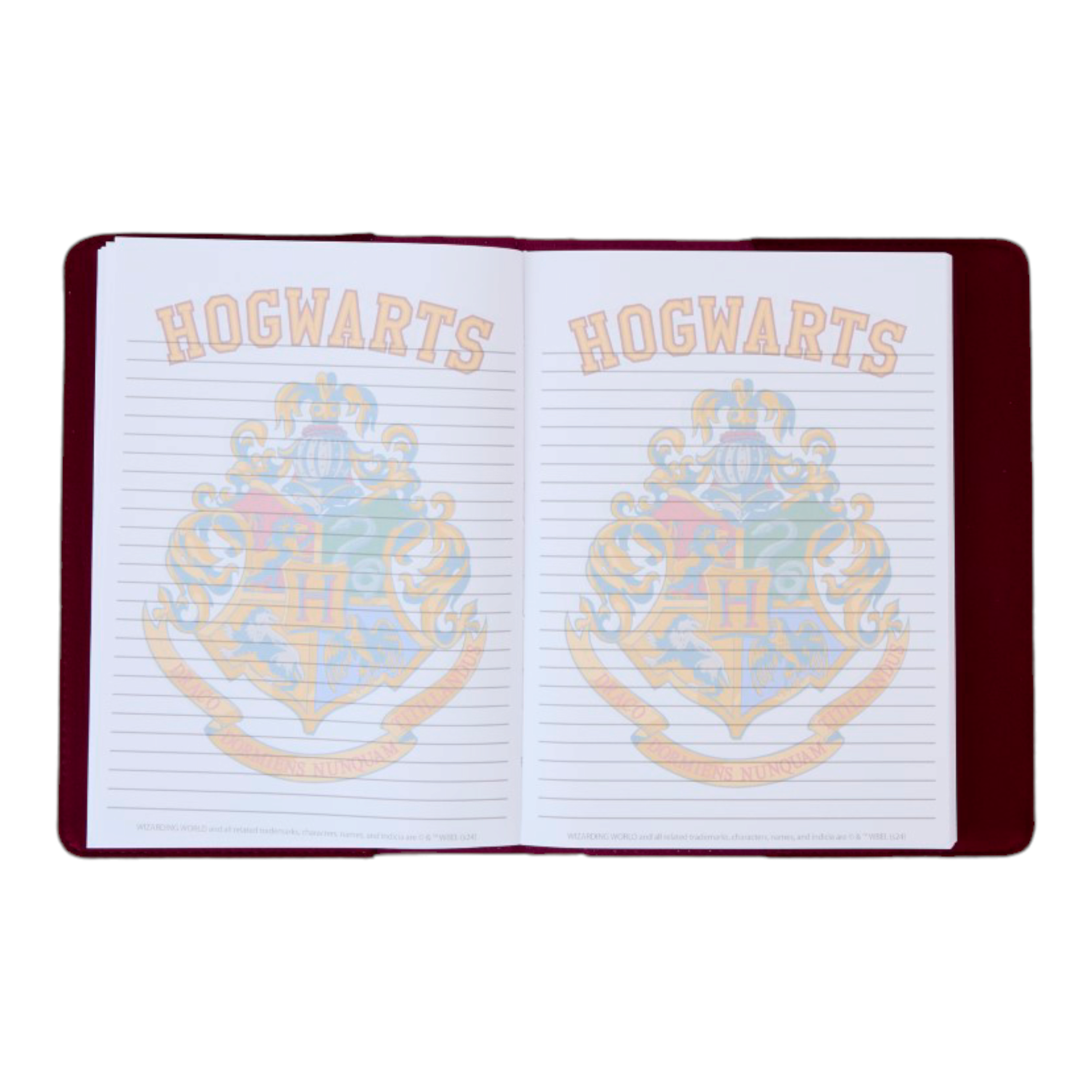 Journal - Notebook Hogwarts Quidditch - Harry Potter - Loungefly J'M T Créa