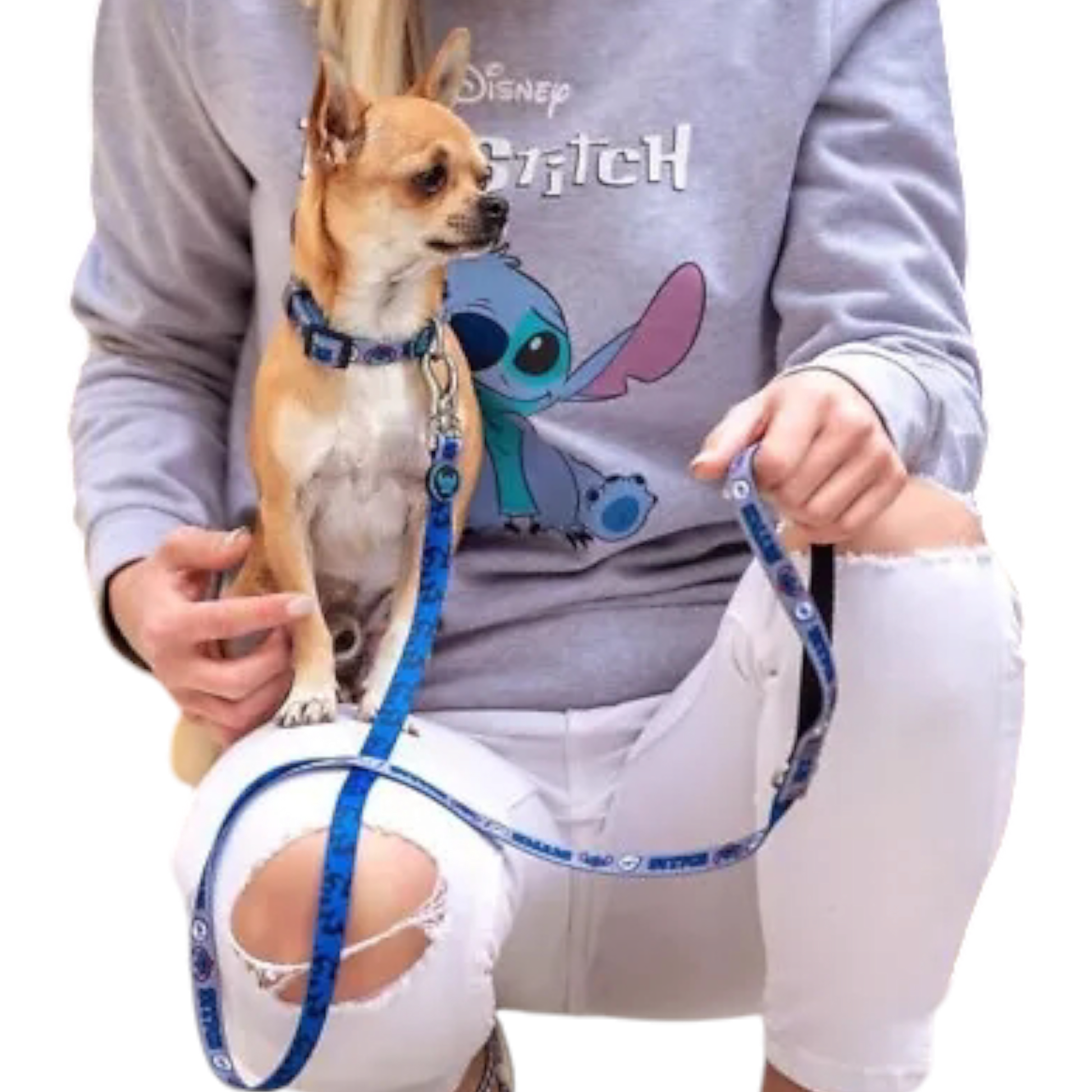 Laisse pour chien - Disponible en plusieurs tailles - Stitch - Disney - For Fan Pets - Lifestyle Pets By Cerdà J'M T Créa