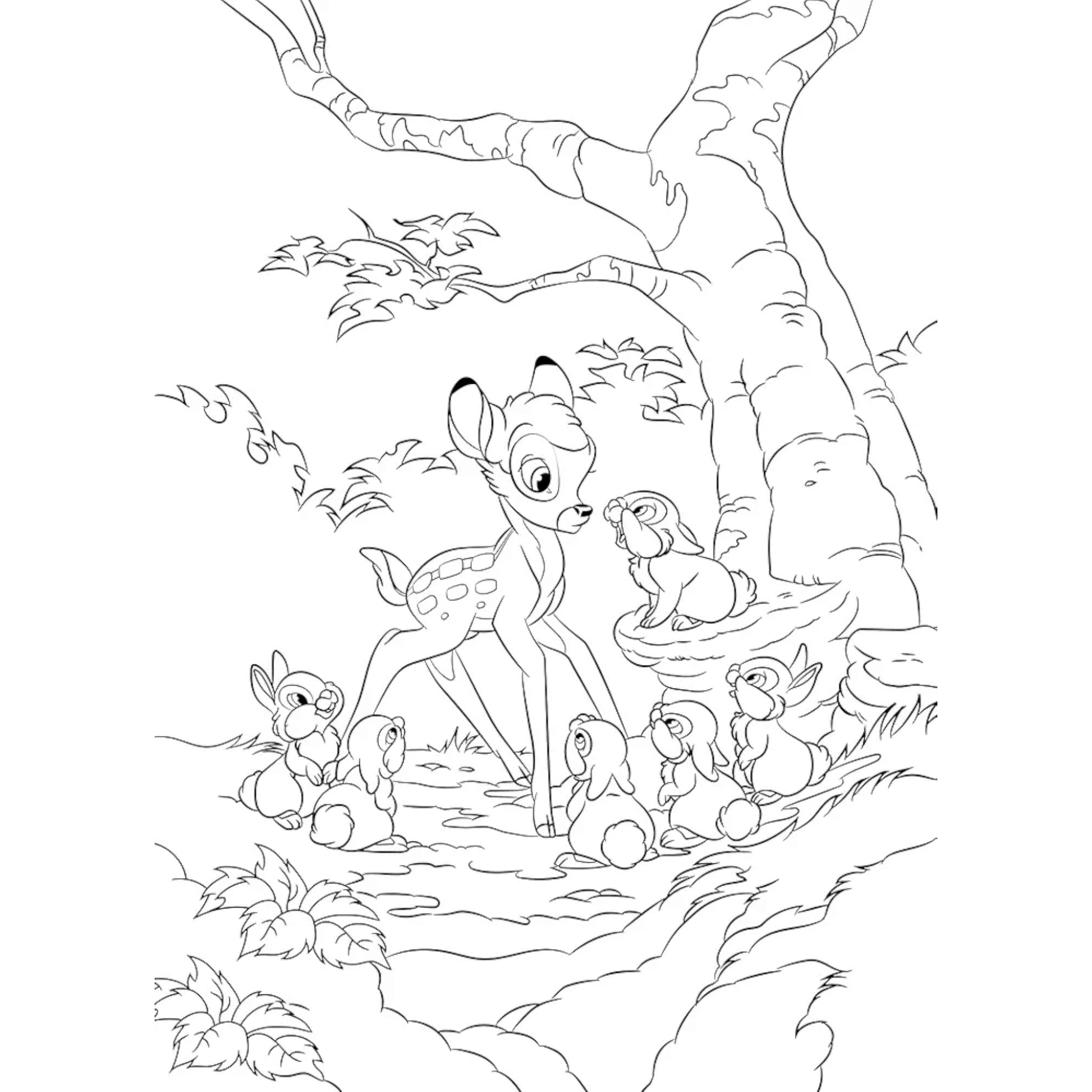 Livre de coloriages Disney - 100% Panpan - Coloriages Art Thérapie - Hachette Heroes J'M T Créa