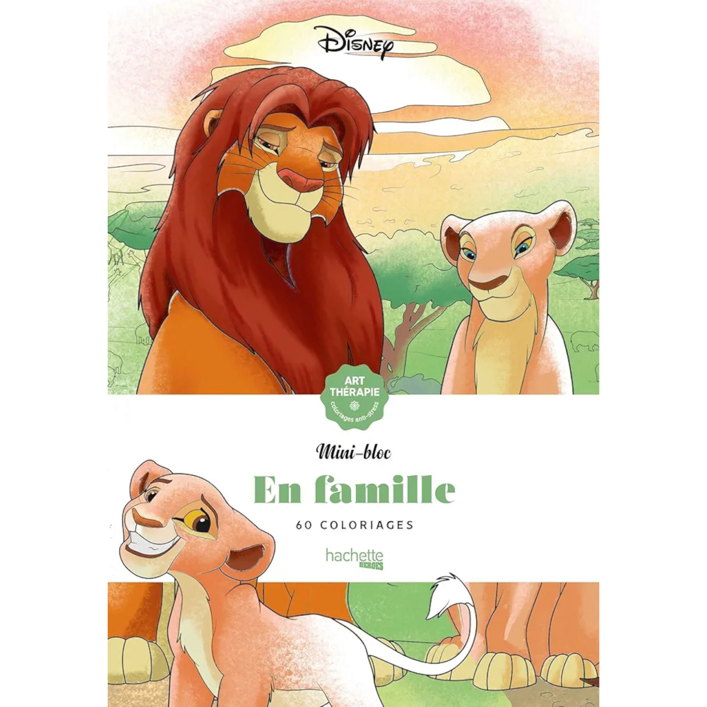 Mini bloc de coloriages Disney - En famille - Coloriages Art Thérapie - Hachette Heroes J'M T Créa