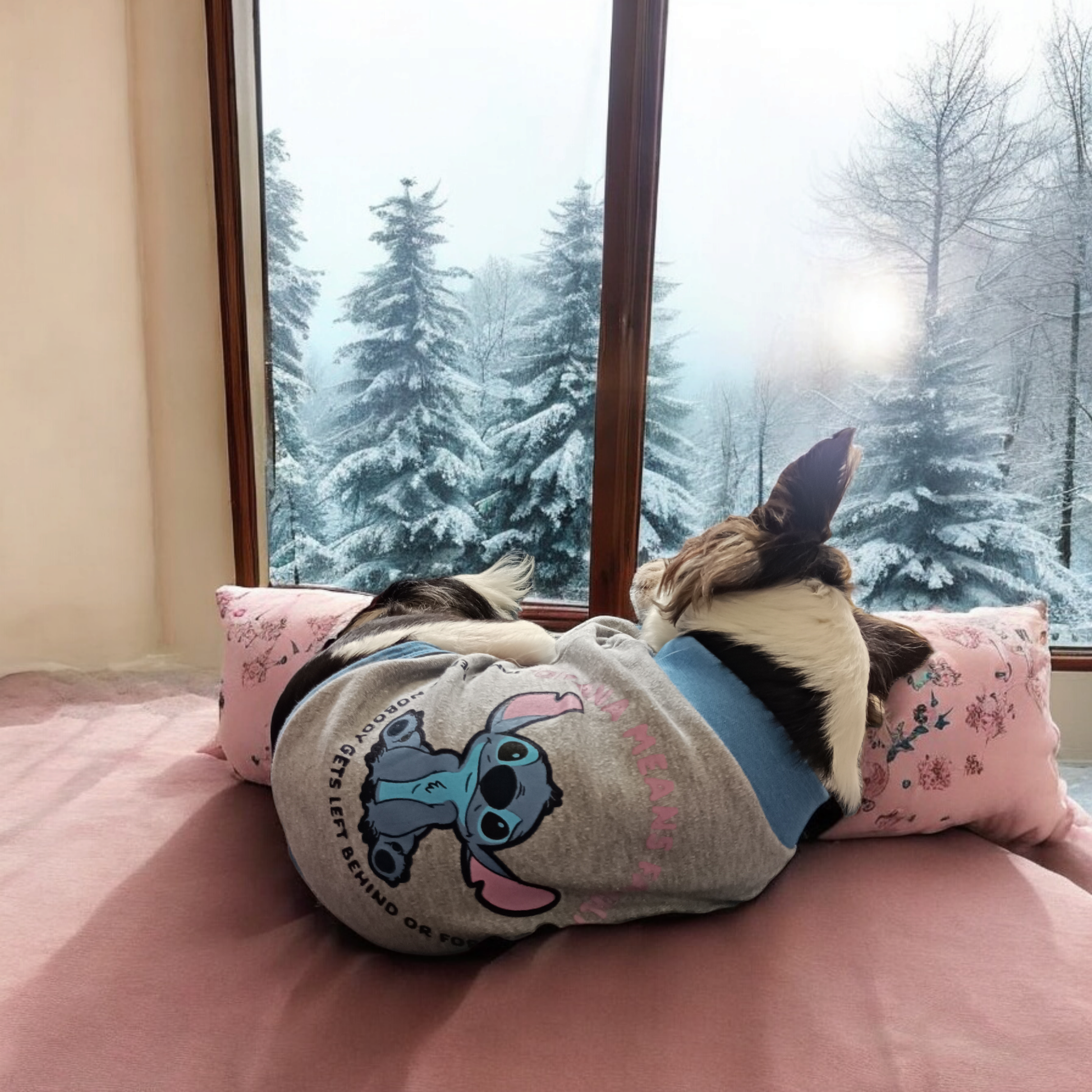 Pyjama pour chien - Disponible en plusieurs tailles - Stitch - Disney - For Fan Pets - Lifestyle Pets By Cerdà J'M T Créa